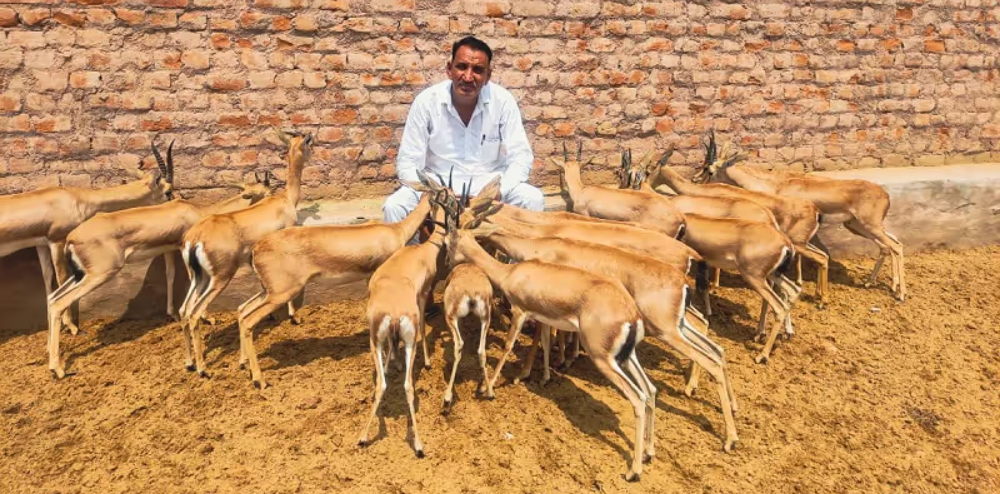 अनिल बिश्नोई: वन्यजीव और प्रकृति के रक्षक