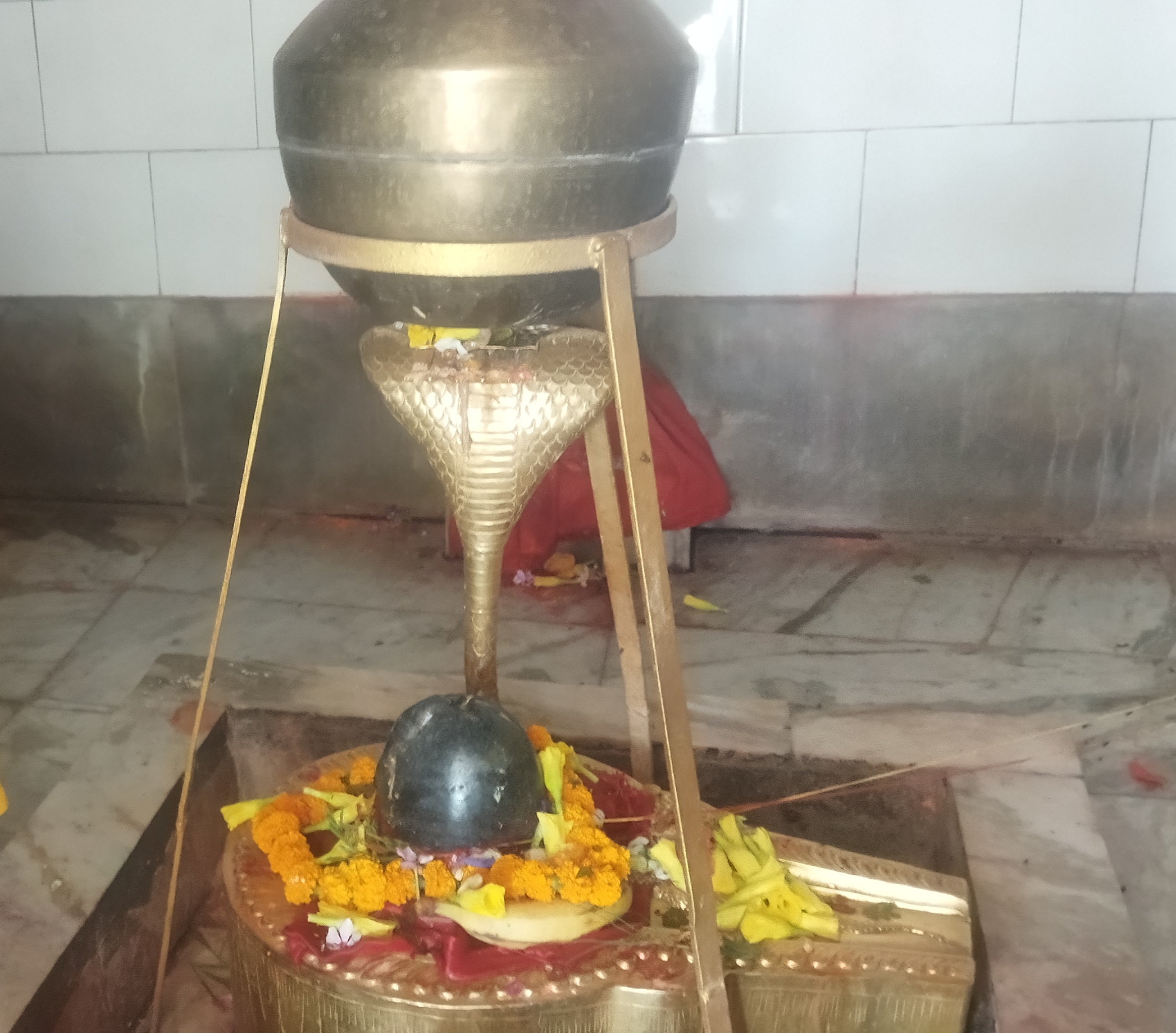 ये कैसी श्रद्धा,प्राईवेट पार्ट काट कर चढा दिया शिवलिंग पे,चर्चाओं का बाजार गर्म